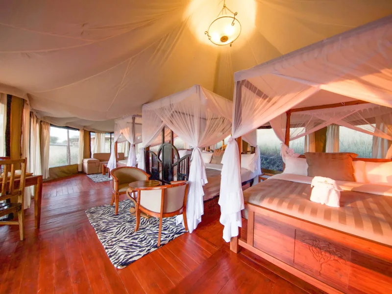 Acacia Tarangire Luxury