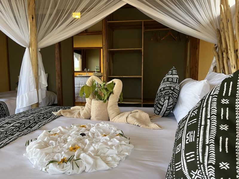 African-View_Tarangire-View-Camp_8565