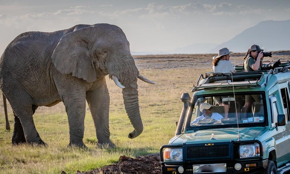 Gertan Tanzania Activities game drive 2