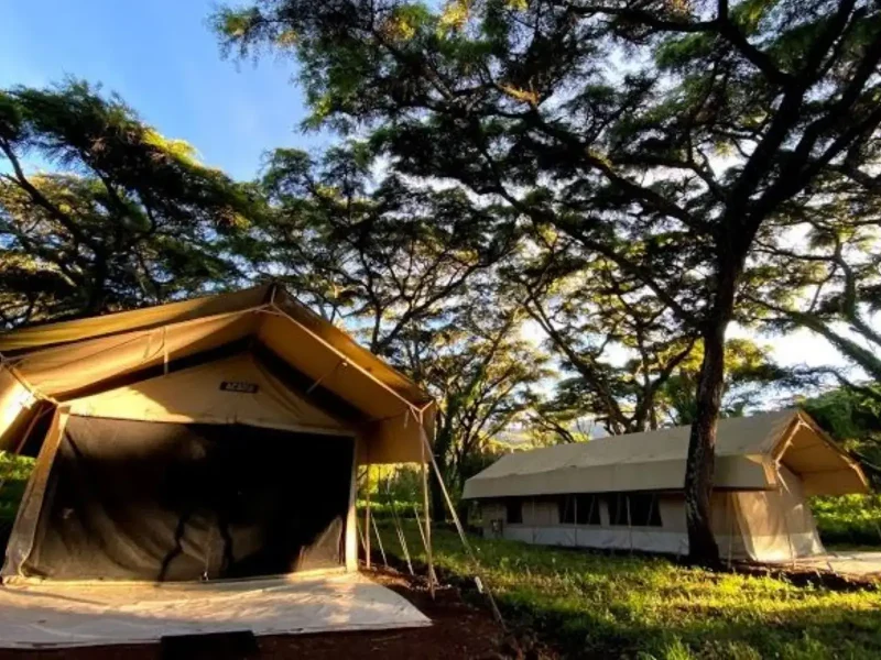 Hotelslodges-and-camps-on-Tanzanian-safari-ngorogoro-tortilis-camp-2