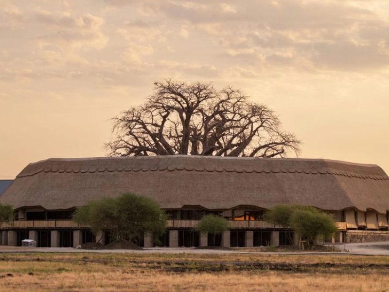 Lake Burunge Baobab Tented Lodge