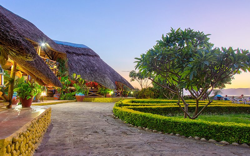 Lake Manyara Wildlife
