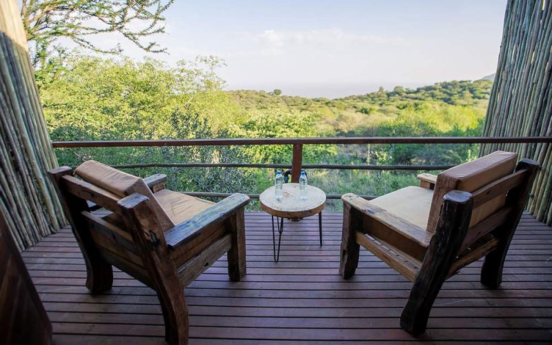 Lodge Lake Manyara Wildlife