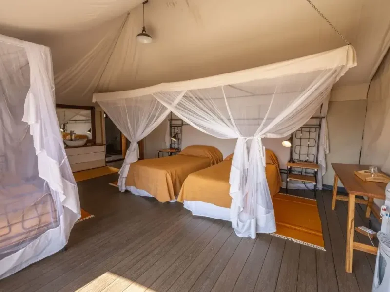 Mara Mara Tented Lodge4