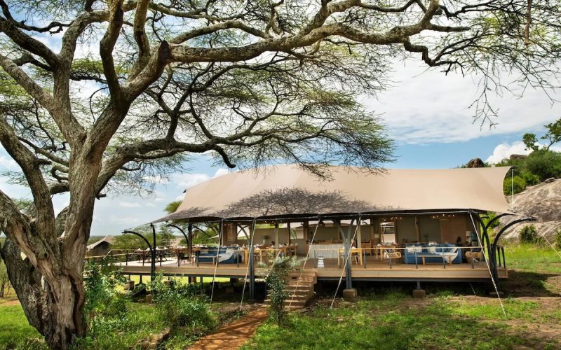 Ndutu under Canvas 3 (1) copy (1)