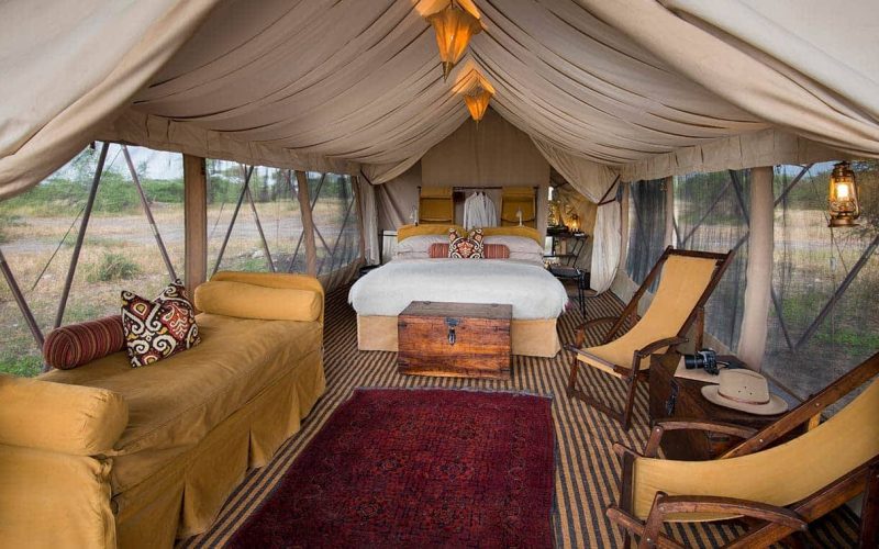 Ndutu under Canvas 6