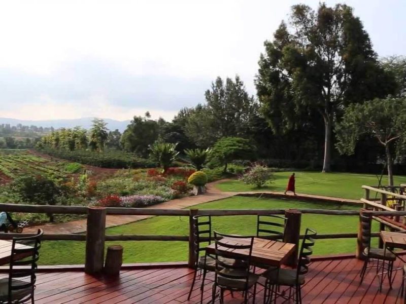 Ngorongoro Farm House 3