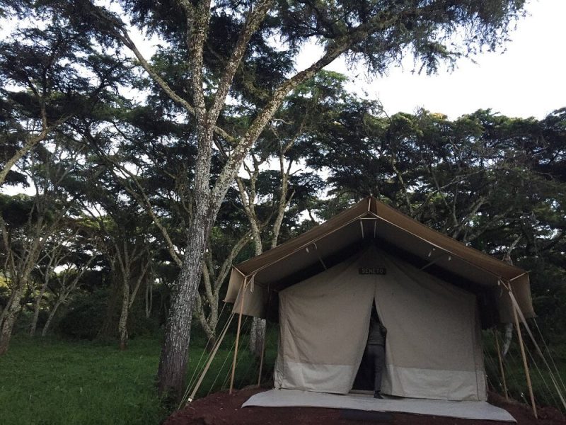 Ngorongoro Tortilis Camp 4