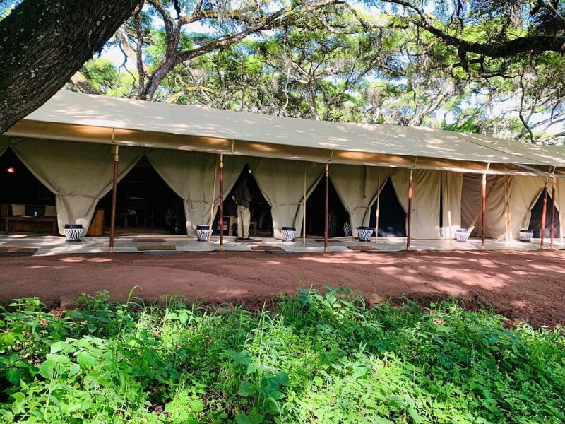 Ngorongoro Tortilis Camp 6