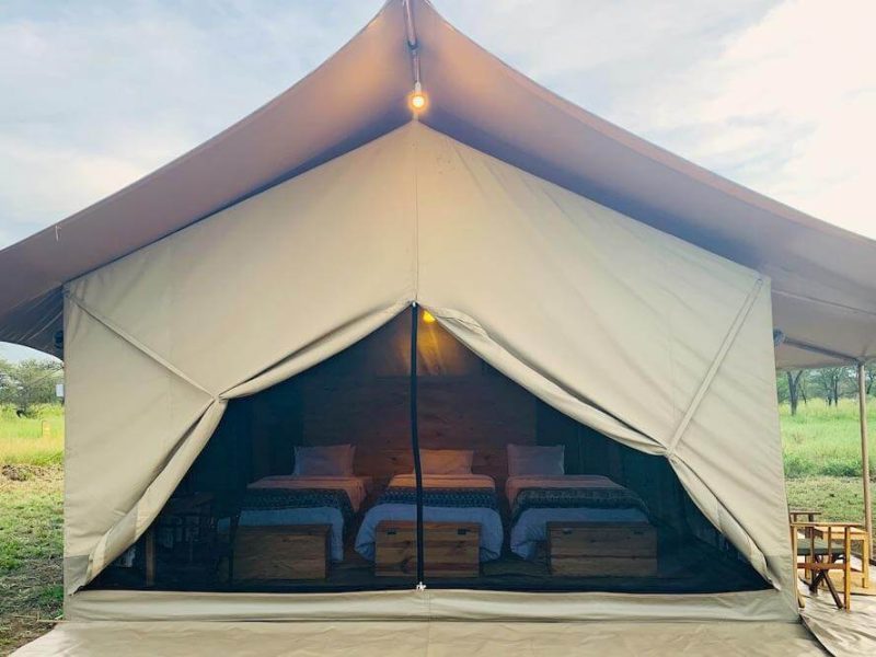 Pamoja Migration Camp 8