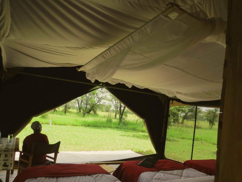 Pamoja Migration Camp 9