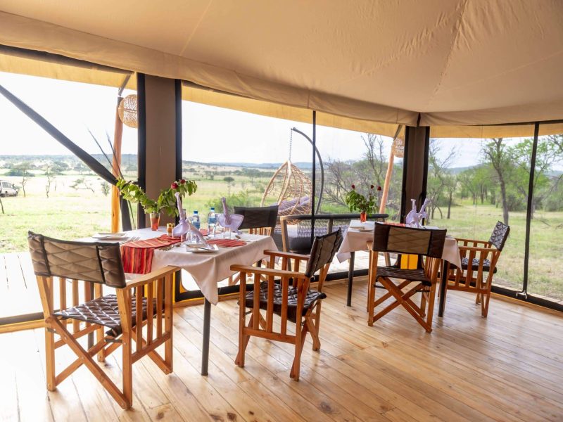 Serengeti-Classic-View-Camp-98-scaled