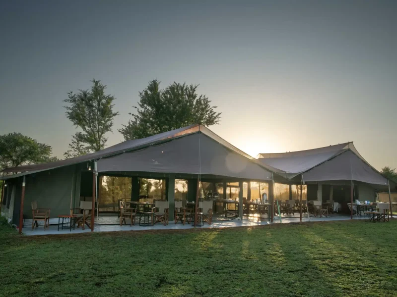 Serengeti Kati Kati 2