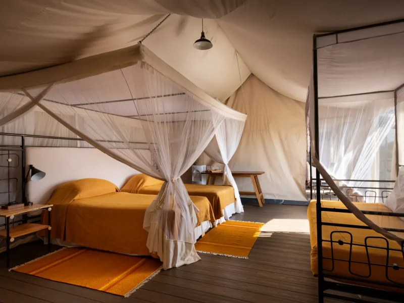 Serengeti Kati Kati Mobile Camp 00