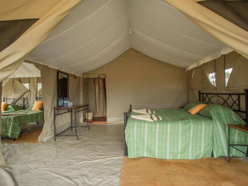 Serengeti Kati Kati Mobile Camp 2