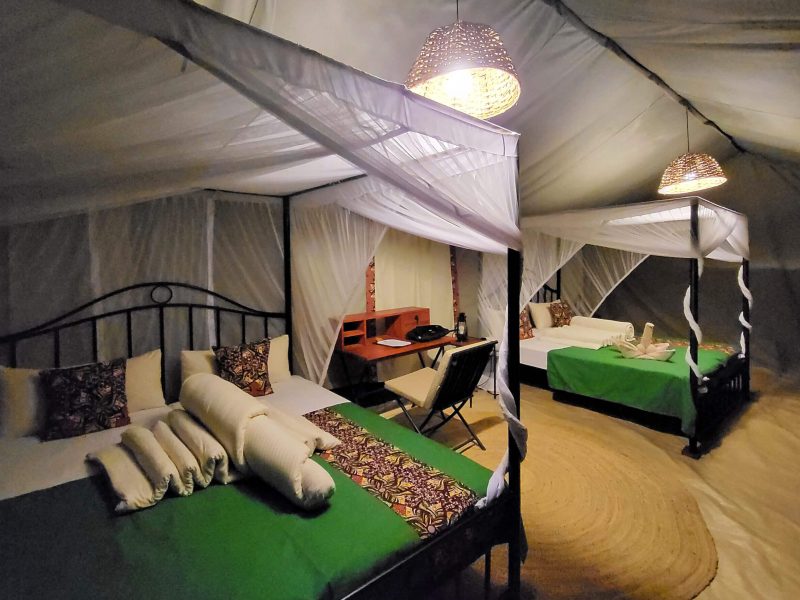 Serengeti View Camp – Rongai (South) 2