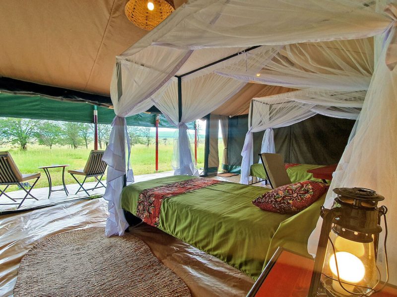 Serengeti View Camp – Togoro (North2