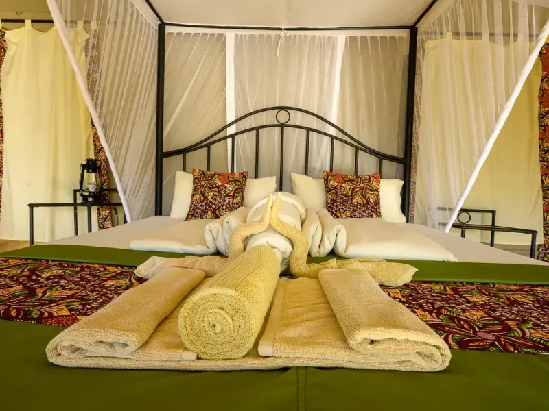 Serengeti-View-Camp-–-Togoro-north-single-room