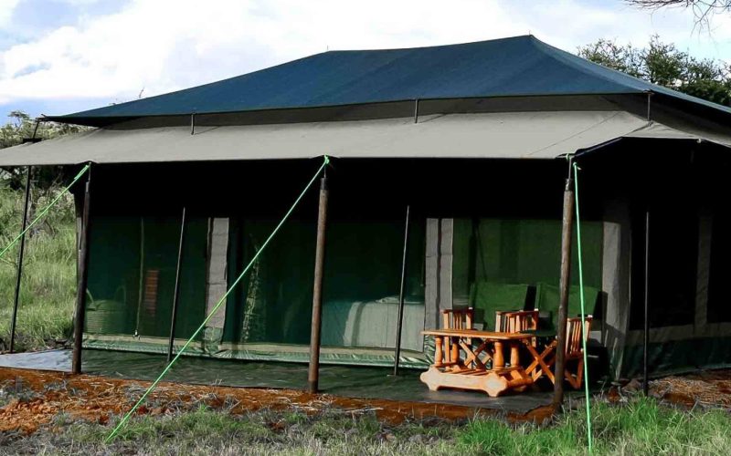 Serengeti Wilderness