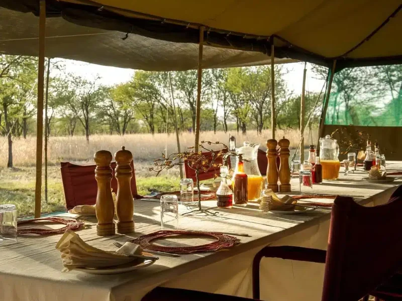 Serengeti Wilderness Camp