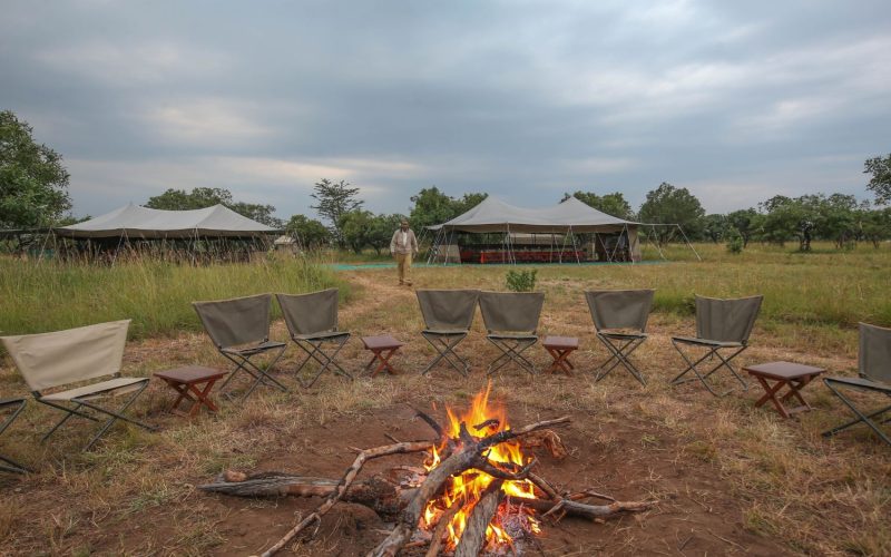 Serengeti Wilderness Mobile