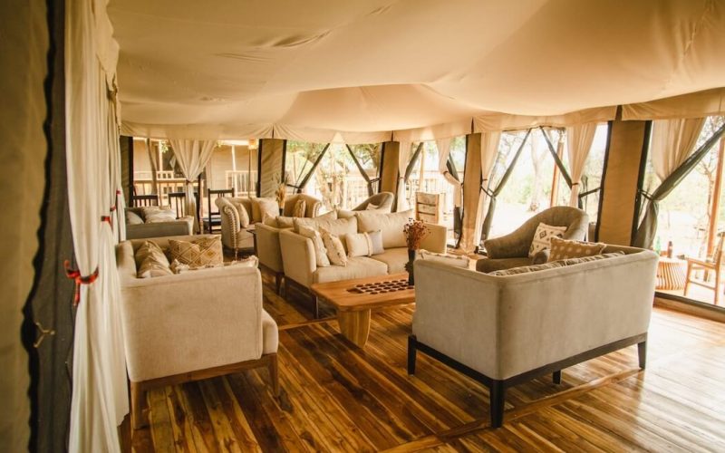 Serengeti Wilderness tanzania