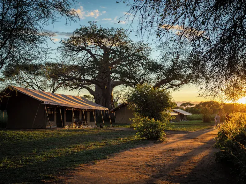 Tarangire Baobab Camp
