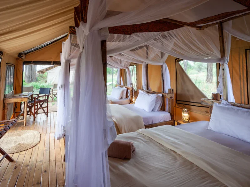 Tarangire Baobab Tented room