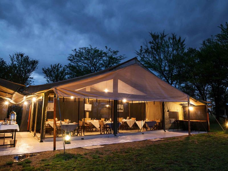 Tarangire-Kati-Katis