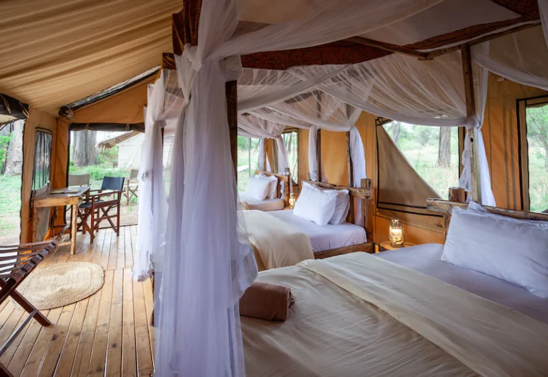 Tarangire Luxury Hideaway room