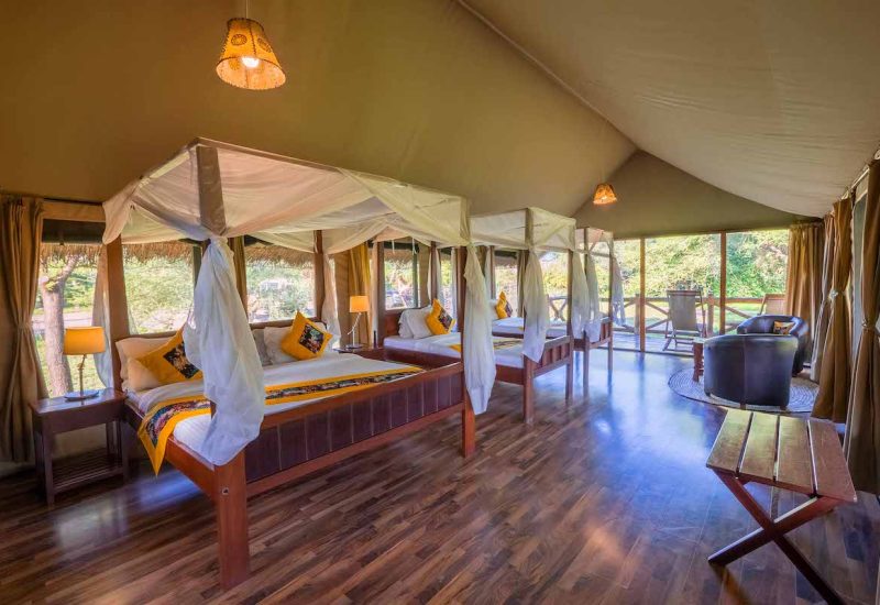 Tarangire Simba Triple room