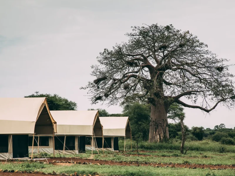 Tarangire Tortilis Camp