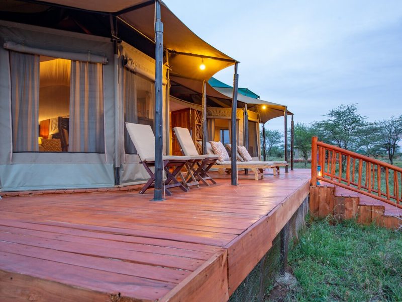 acacia-seronera luxury