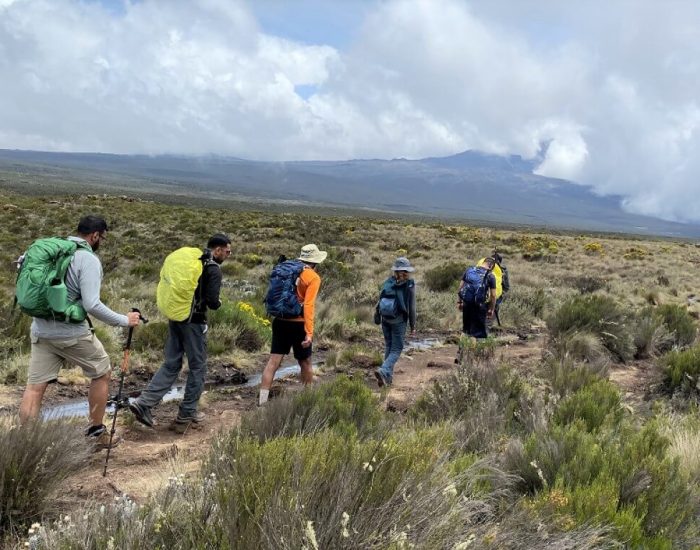 gertan lemosho route 2