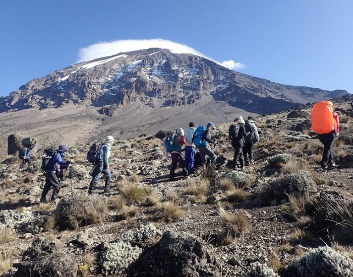 gertan lemosho route 4