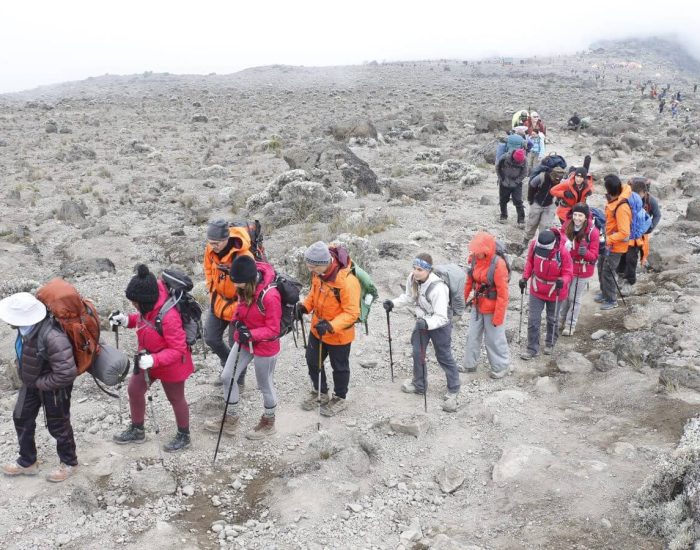 gertan machame route2