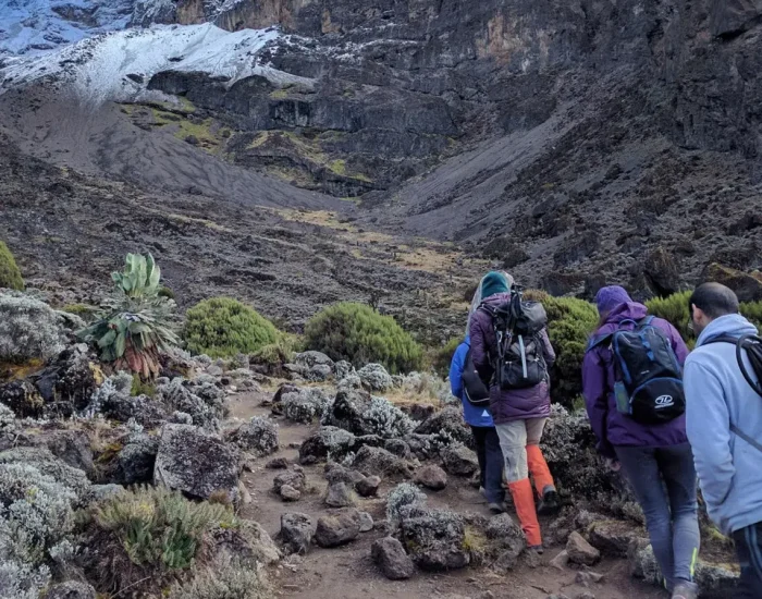 gertan machame route4