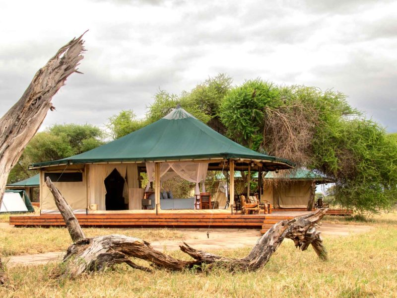 honeyguide-tarangire-camp