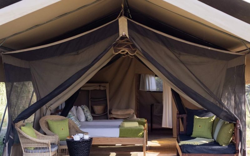 ndutu-wilderness-camp-twin-tent-front-view-min-scaled-e1747665600880