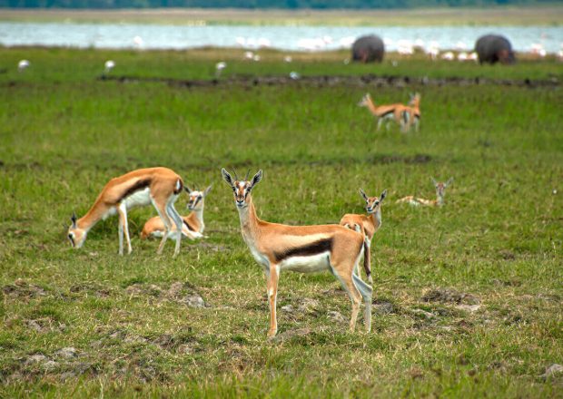 ngorongoro Twin peak1