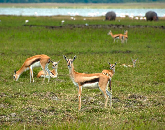 ngorongoro Twin peak1