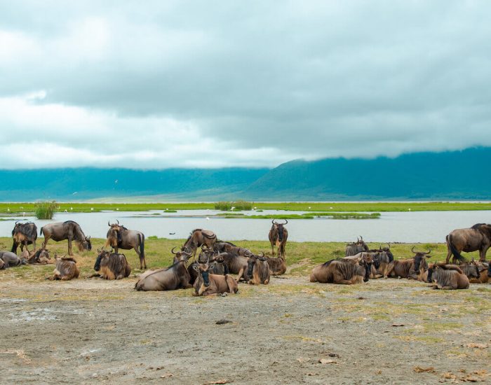 ngorongoro Twin peak11