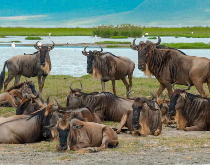 ngorongoro Twin peak12