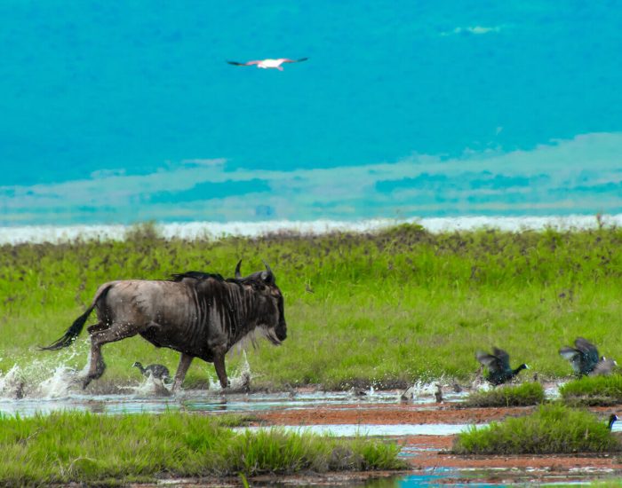 ngorongoro Twin peak14