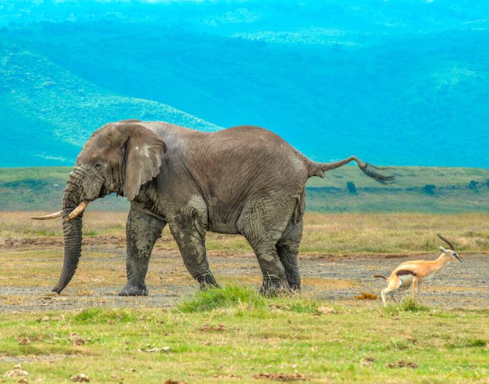 ngorongoro Twin peak18