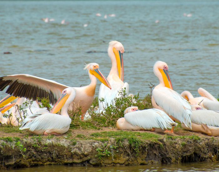 ngorongoro Twin peak20