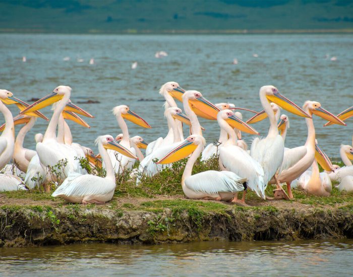 ngorongoro Twin peak21