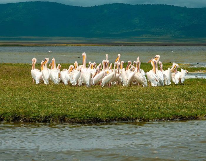 ngorongoro Twin peak22