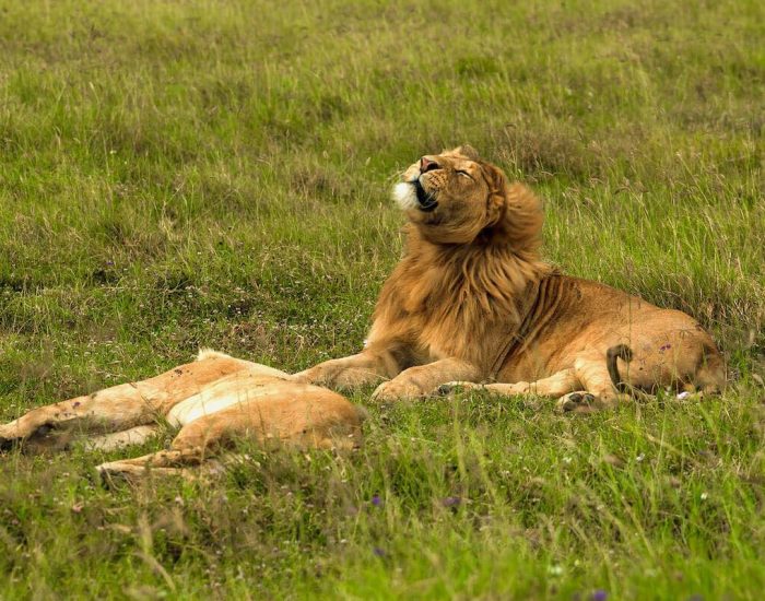 ngorongoro Twin peak24