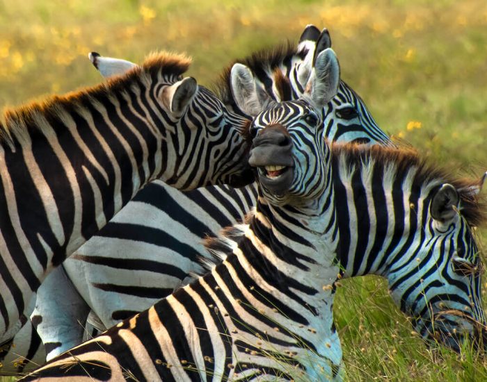 ngorongoro Twin peak29